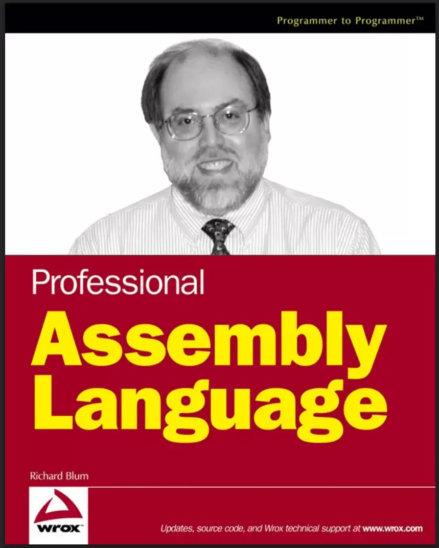 Professional Assembly Language