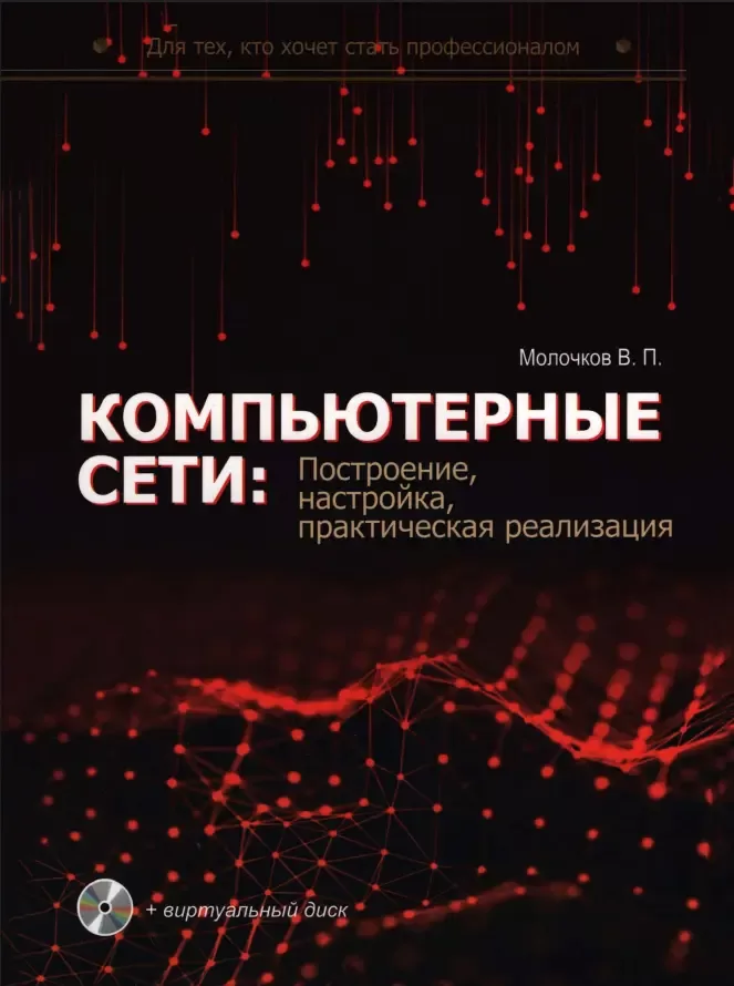 Компьютерные сети: построение, параметр, практическая реализация