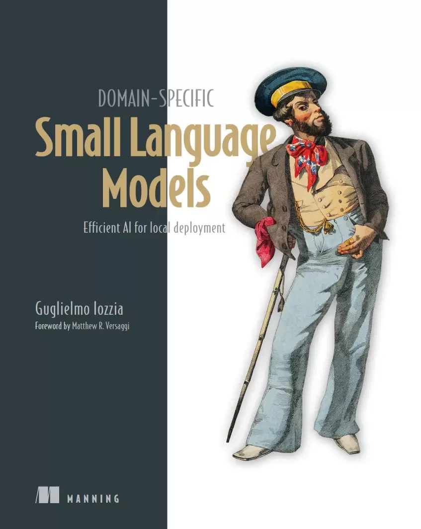 Domain-Specific Small Language Models: Efficient AI for local deployment